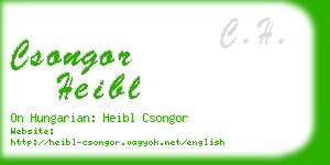 csongor heibl business card